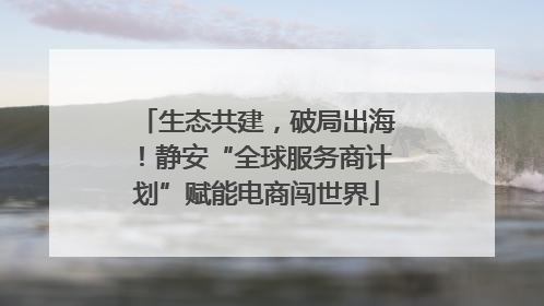 生态共建，破局出海！静安“全球服务商计划”赋能电商闯世界