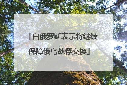 白俄罗斯表示将继续保障俄乌战俘交换