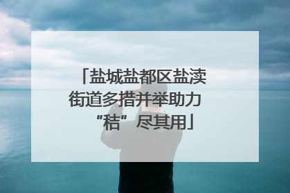 盐城盐都区盐渎街道多措并举助力“秸”尽其用