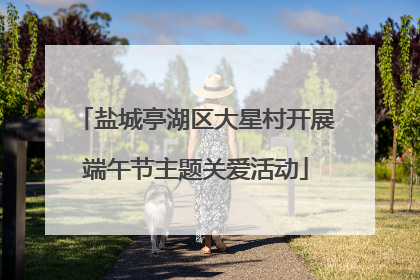 盐城亭湖区大星村开展端午节主题关爱活动