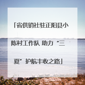 省供销社驻正阳县小陈村工作队 助力“三夏”护航丰收之路