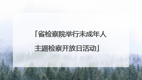 省检察院举行未成年人主题检察开放日活动