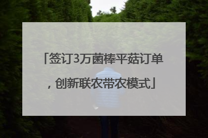 签订3万菌棒平菇订单，创新联农带农模式