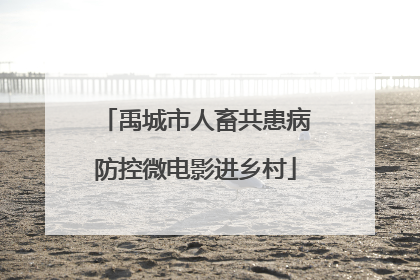 禹城市人畜共患病防控微电影进乡村