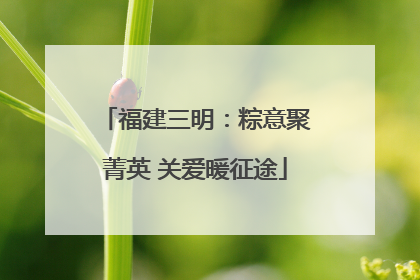 福建三明：粽意聚菁英 关爱暖征途