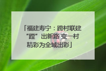 福建寿宁：跨村联建“蹚”出新路 变一村精彩为全域出彩