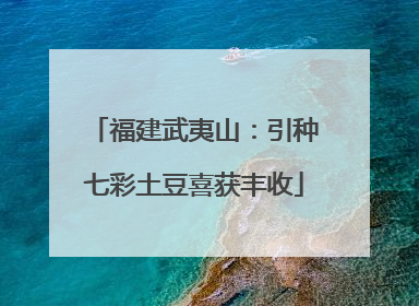 福建武夷山：引种七彩土豆喜获丰收
