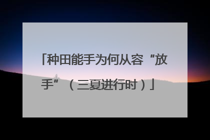 种田能手为何从容“放手”（三夏进行时）