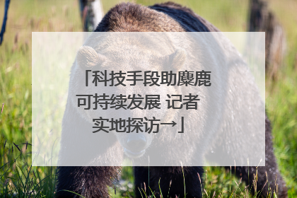 科技手段助麋鹿可持续发展 记者实地探访→