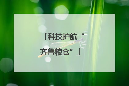科技护航“齐鲁粮仓”