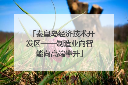 秦皇岛经济技术开发区——制造业向智能向高端攀升