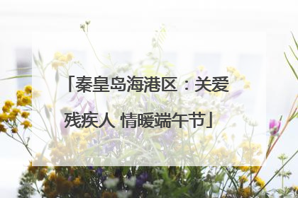 秦皇岛海港区：关爱残疾人 情暖端午节