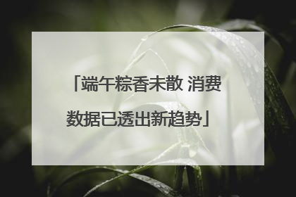 端午粽香未散 消费数据已透出新趋势