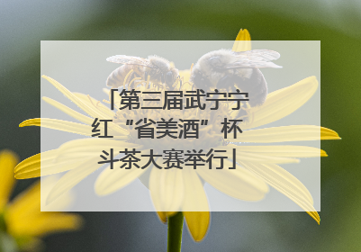 第三届武宁宁红“省美酒”杯斗茶大赛举行