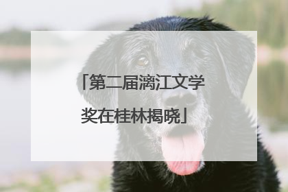 第二届漓江文学奖在桂林揭晓