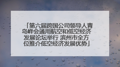第六届跨国公司领导人青岛峰会通用航空和低空经济发展论坛举行 滨州市全方位推介低空经济发展优势