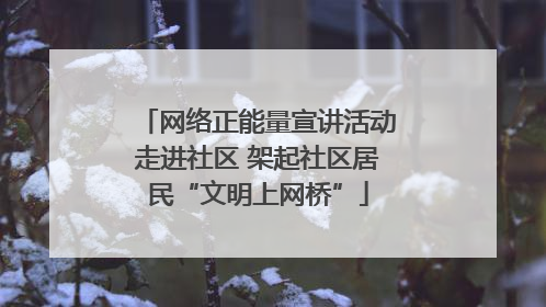 网络正能量宣讲活动走进社区 架起社区居民“文明上网桥”