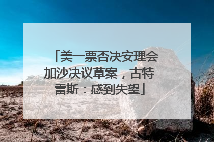 美一票否决安理会加沙决议草案，古特雷斯：感到失望