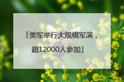 美军举行大规模军演，超12000人参加