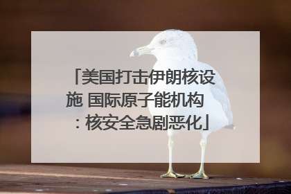 美国打击伊朗核设施 国际原子能机构：核安全急剧恶化