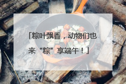 粽叶飘香，动物们也来“粽”享端午！