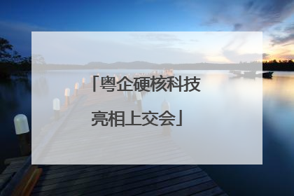 粤企硬核科技亮相上交会