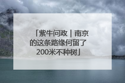 紫牛问政｜南京的这条路缘何留了200米不种树