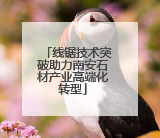 线锯技术突破助力南安石材产业高端化转型