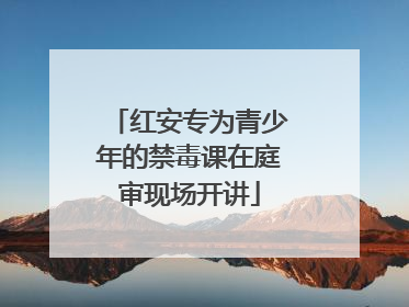 红安专为青少年的禁毒课在庭审现场开讲