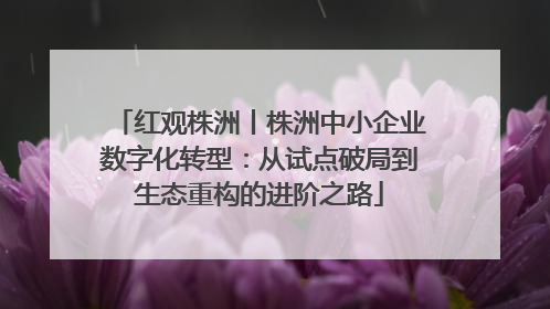 红观株洲丨株洲中小企业数字化转型：从试点破局到生态重构的进阶之路