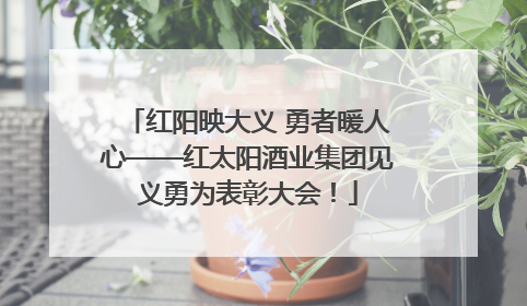 红阳映大义 勇者暖人心——红太阳酒业集团见义勇为表彰大会！