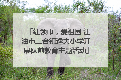 红领巾，爱祖国 江油市三合镇逸夫小学开展队前教育主题活动