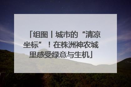 组图丨城市的“清凉坐标”！在株洲神农城里感受绿意与生机