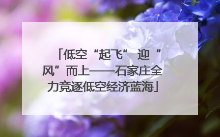 低空“起飞” 迎“风”而上——石家庄全力竞逐低空经济蓝海