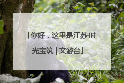 你好，这里是江苏·时光宝筑 | 文游台