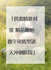 供需精准对接 烟花鞭炮数字化转型进入冲刺阶段