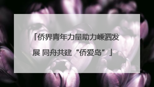 侨界青年力量助力嵊泗发展 同舟共建“侨爱岛”