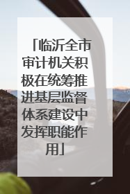 临沂全市审计机关积极在统筹推进基层监督体系建设中发挥职能作用