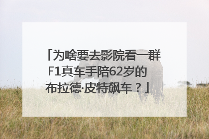 为啥要去影院看一群F1真车手陪62岁的布拉德·皮特飙车？
