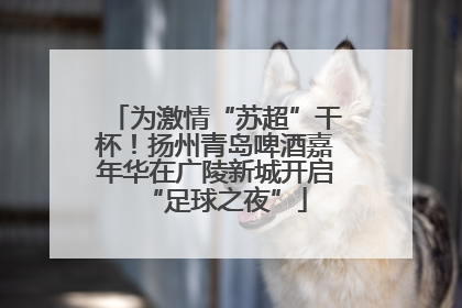 为激情“苏超”干杯！扬州青岛啤酒嘉年华在广陵新城开启“足球之夜”