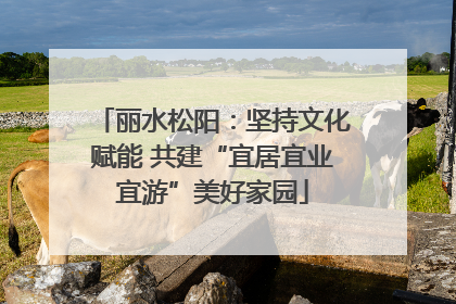 丽水松阳：坚持文化赋能 共建“宜居宜业宜游”美好家园