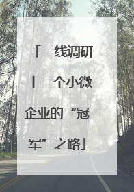 一线调研丨一个小微企业的“冠军”之路
