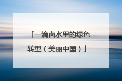 一滴卤水里的绿色转型（美丽中国）