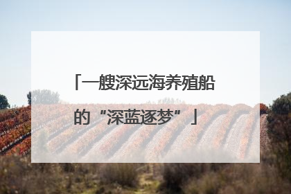 一艘深远海养殖船的“深蓝逐梦”