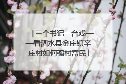 三个书记一台戏——看泗水县金庄镇辛庄村如何强村富民