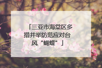 三亚市海棠区多措并举防范应对台风“蝴蝶”