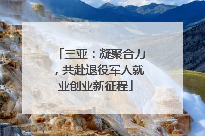 三亚：凝聚合力，共赴退役军人就业创业新征程