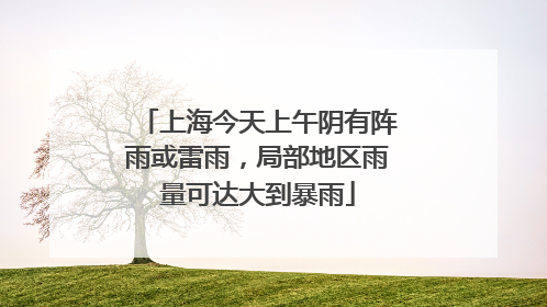 上海今天上午阴有阵雨或雷雨，局部地区雨量可达大到暴雨