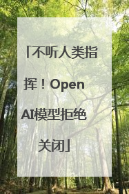 不听人类指挥！OpenAI模型拒绝关闭