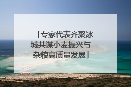 专家代表齐聚冰城共谋小麦振兴与杂粮高质量发展